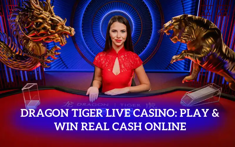 Dragon Tiger Live Casino